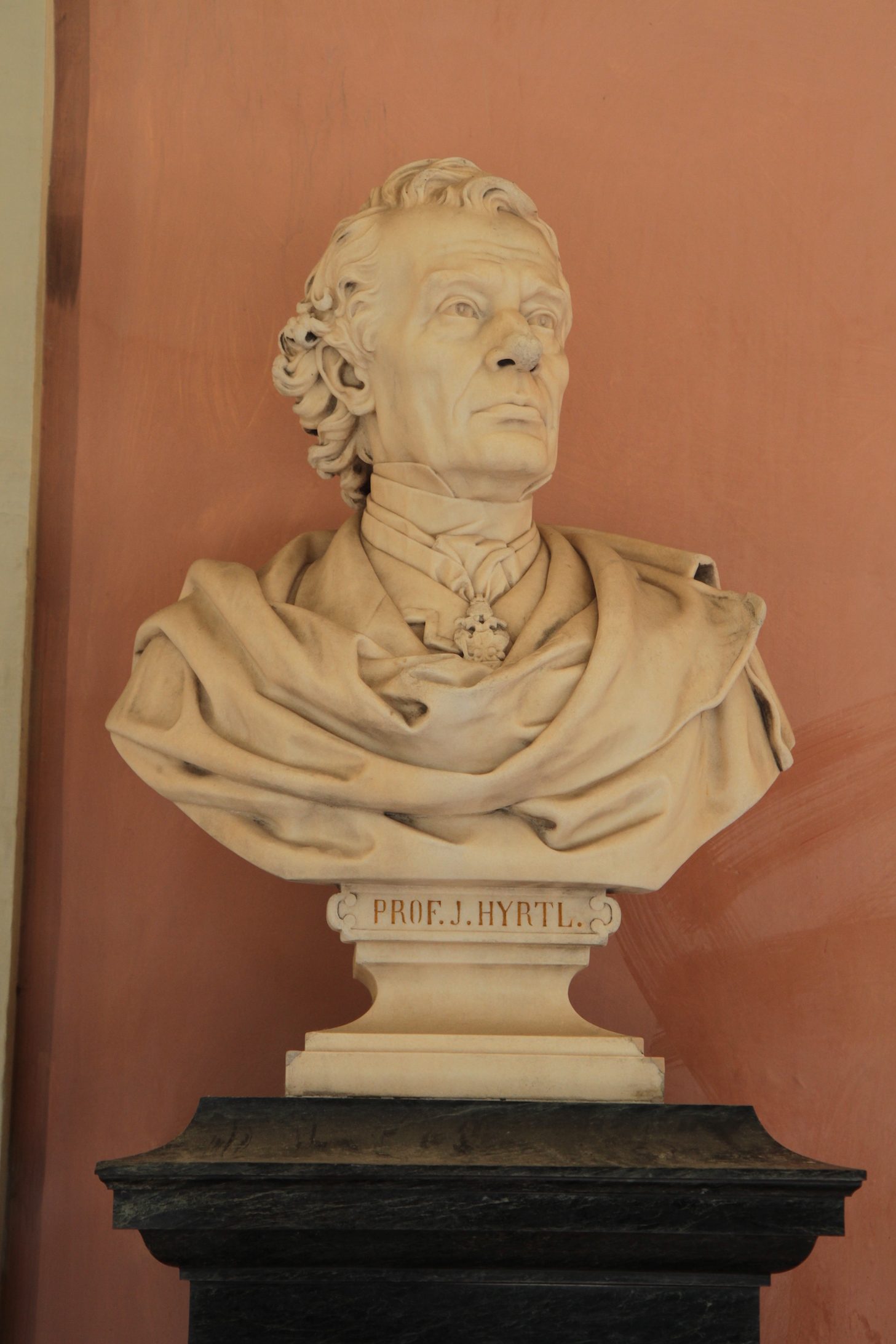 Joseph Hyrtl's bust, Medical monuments B, UNI Vienna (88).JPG